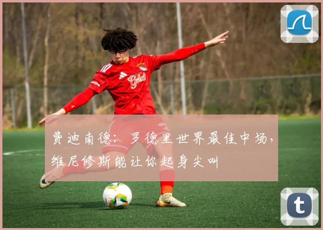 费迪南德：罗德里世界最佳中场，维尼修斯能让你起身尖叫