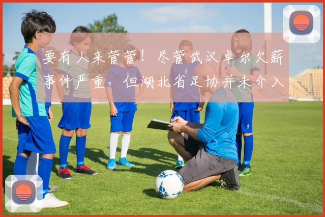 要有人来管管！尽管武汉卓尔欠薪事件严重，但湖北省足协并未介入
